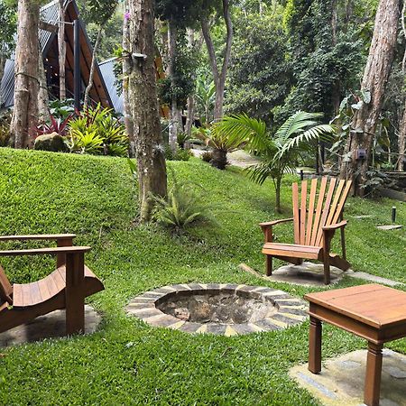 Chales Das Palmeiras Petrópolis Exteriér fotografie